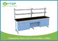 Customized Hospital Lab Furniture With Epoxy Resin Worktop Alkali - Resistant
